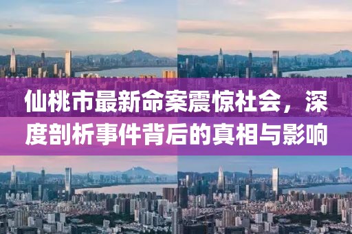 仙桃市最新命案震惊社会，深度剖析事件背后的真相与影响
