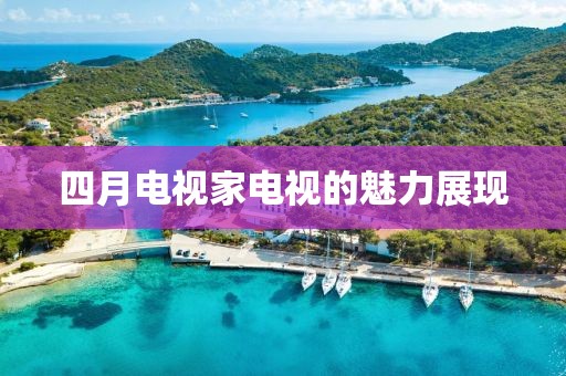 四月电视家电视的魅力展现