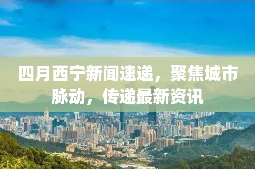 四月西宁新闻速递，聚焦城市脉动，传递最新资讯