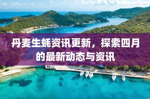 丹麦生蚝资讯更新，探索四月的最新动态与资讯