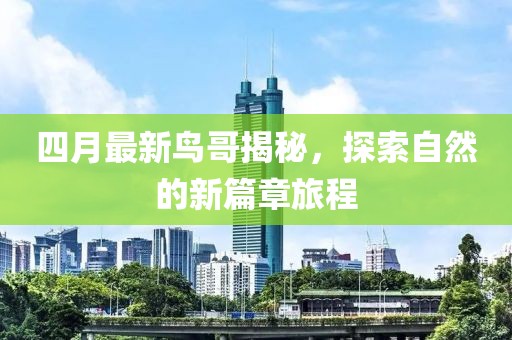 四月最新鸟哥揭秘，探索自然的新篇章旅程