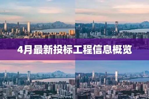 4月最新投标工程信息概览