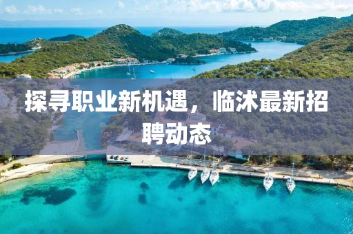 探寻职业新机遇，临沭最新招聘动态