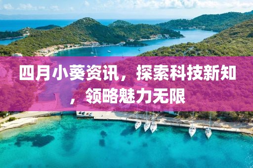 四月小葵资讯，探索科技新知，领略魅力无限