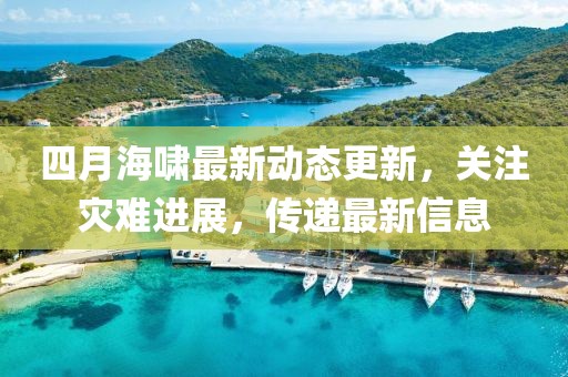 四月海啸最新动态更新，关注灾难进展，传递最新信息