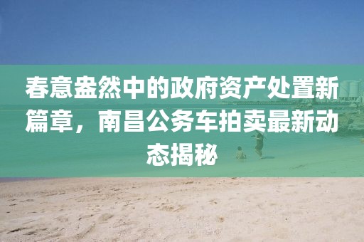 春意盎然中的政府资产处置新篇章，南昌公务车拍卖最新动态揭秘