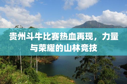 贵州斗牛比赛热血再现，力量与荣耀的山林竞技
