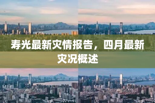 寿光最新灾情报告，四月最新灾况概述