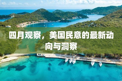四月观察，美国民意的最新动向与洞察