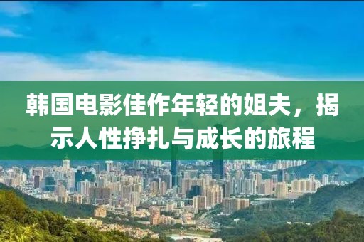 韩国电影佳作年轻的姐夫，揭示人性挣扎与成长的旅程