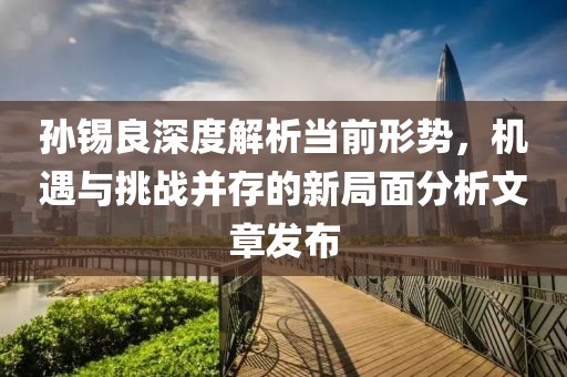 孙锡良深度解析当前形势，机遇与挑战并存的新局面分析文章发布