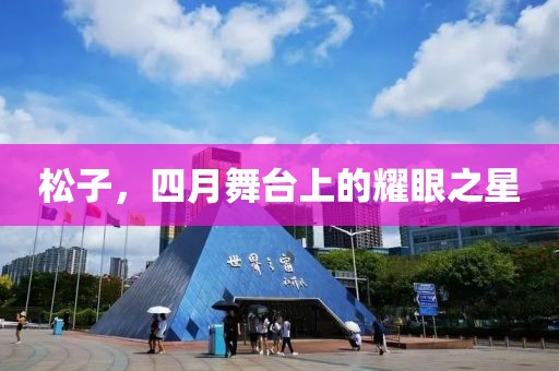 松子，四月舞台上的耀眼之星