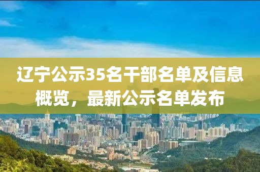 辽宁公示35名干部名单及信息概览，最新公示名单发布