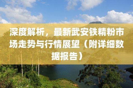 深度解析，最新武安铁精粉市场走势与行情展望（附详细数据报告）