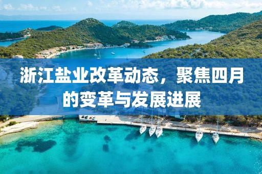 浙江盐业改革动态，聚焦四月的变革与发展进展