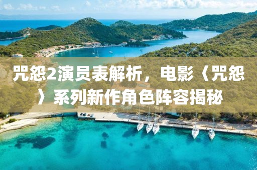 咒怨2演员表解析，电影〈咒怨〉系列新作角色阵容揭秘