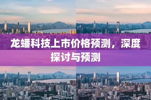 龙蟠科技上市价格预测，深度探讨与预测