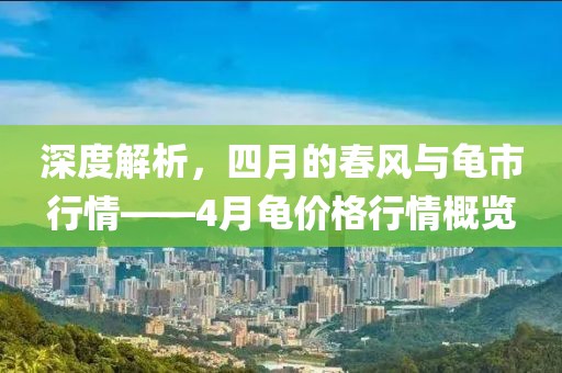 深度解析，四月的春风与龟市行情——4月龟价格行情概览