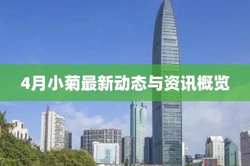 4月小菊最新动态与资讯概览