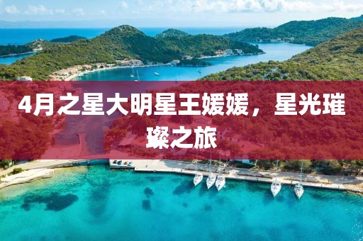 4月之星大明星王媛媛，星光璀璨之旅