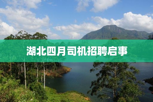 湖北四月司机招聘启事