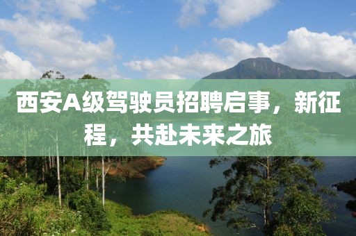西安A级驾驶员招聘启事，新征程，共赴未来之旅
