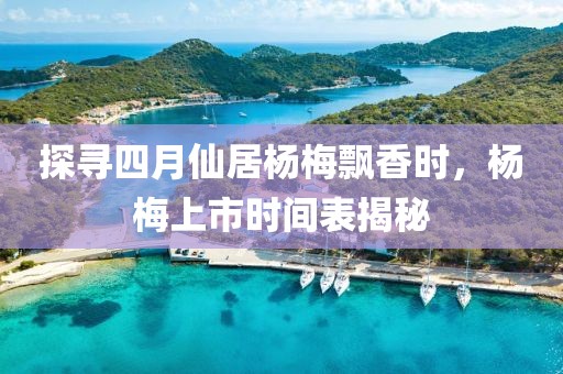 探寻四月仙居杨梅飘香时，杨梅上市时间表揭秘