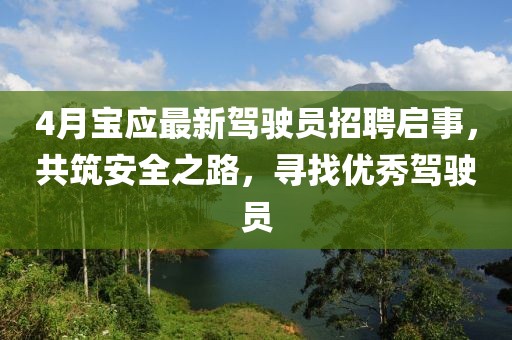 4月宝应最新驾驶员招聘启事，共筑安全之路，寻找优秀驾驶员