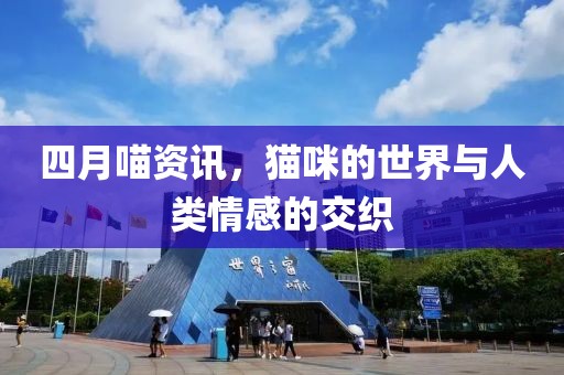 四月喵资讯，猫咪的世界与人类情感的交织