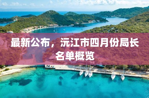 最新公布，沅江市四月份局长名单概览
