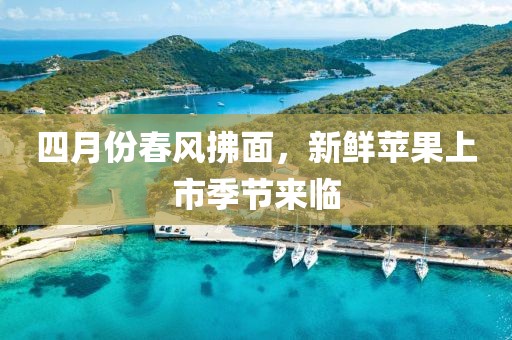 四月份春风拂面，新鲜苹果上市季节来临