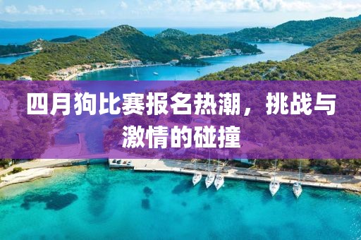 四月狗比赛报名热潮，挑战与激情的碰撞