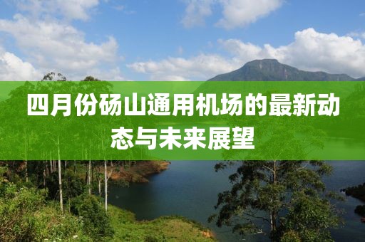 四月份砀山通用机场的最新动态与未来展望
