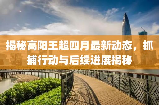 揭秘高阳王超四月最新动态，抓捕行动与后续进展揭秘