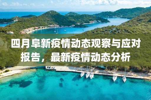 四月阜新疫情动态观察与应对报告，最新疫情动态分析