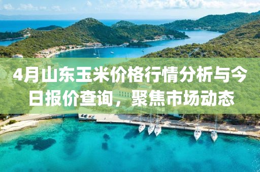 4月山东玉米价格行情分析与今日报价查询，聚焦市场动态