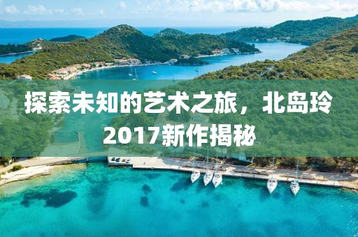 探索未知的艺术之旅，北岛玲2017新作揭秘