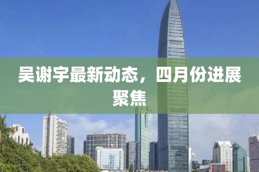 吴谢宇最新动态，四月份进展聚焦