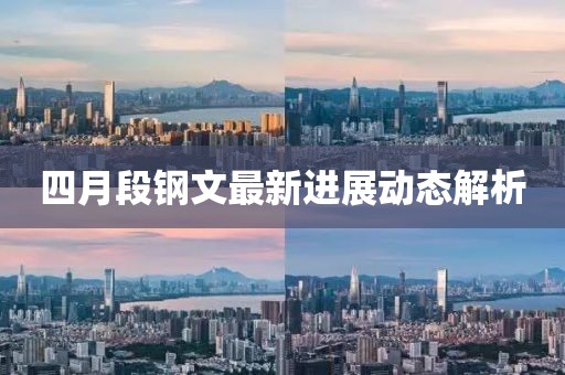 四月段钢文最新进展动态解析