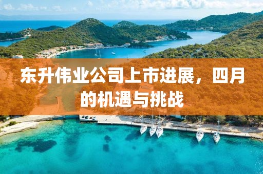 东升伟业公司上市进展，四月的机遇与挑战