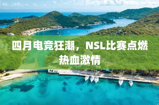 四月电竞狂潮，NSL比赛点燃热血激情