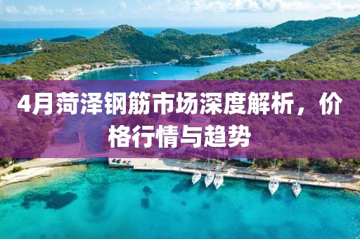 4月菏泽钢筋市场深度解析，价格行情与趋势