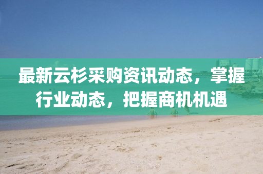 最新云杉采购资讯动态，掌握行业动态，把握商机机遇