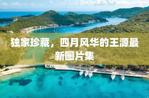 独家珍藏，四月风华的王源最新图片集