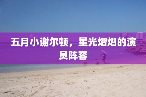 五月小谢尔顿，星光熠熠的演员阵容
