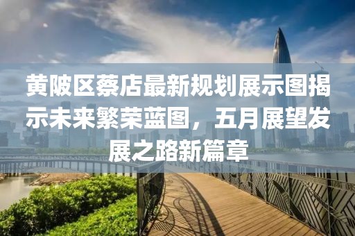 黄陂区蔡店最新规划展示图揭示未来繁荣蓝图，五月展望发展之路新篇章