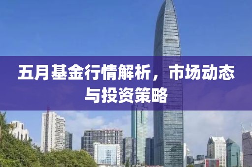 五月基金行情解析，市场动态与投资策略