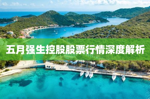 五月强生控股股票行情深度解析