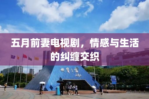 五月前妻电视剧，情感与生活的纠缠交织
