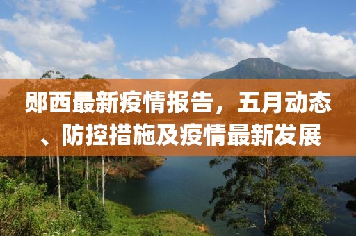 郧西最新疫情报告，五月动态、防控措施及疫情最新发展
